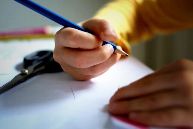 Mehr als Wissen: Wie Bildung zu Glück führt