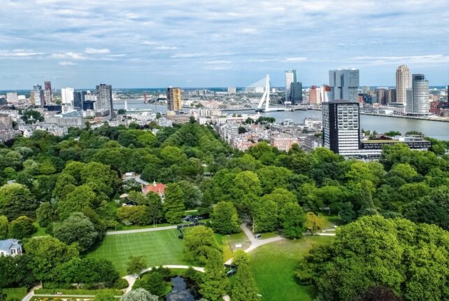 Grün tut gut: Warum Straßenbäume und Parks unsere Psyche stärken