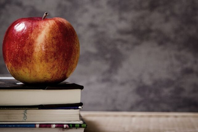 Sinnhaftigkeit als Schutzschild gegen Belastungen im Lehrerberuf