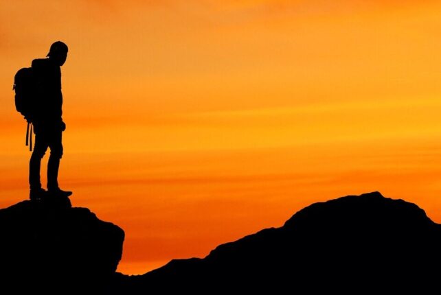 Selbstbestimmungstheorie als Wissenschaft motivierter Menschen